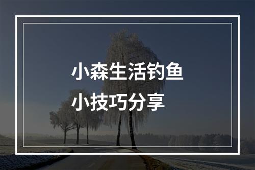 小森生活钓鱼小技巧分享