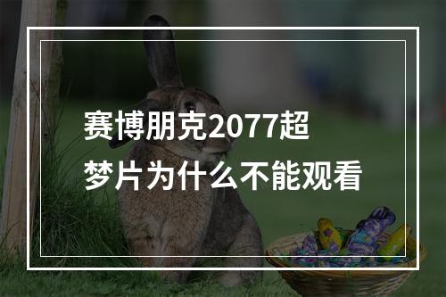 赛博朋克2077超梦片为什么不能观看