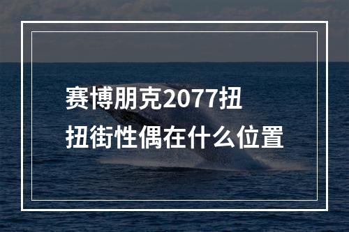 赛博朋克2077扭扭街性偶在什么位置