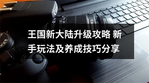 王国新大陆升级攻略 新手玩法及养成技巧分享