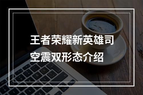 王者荣耀新英雄司空震双形态介绍