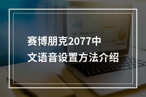 赛博朋克2077中文语音设置方法介绍