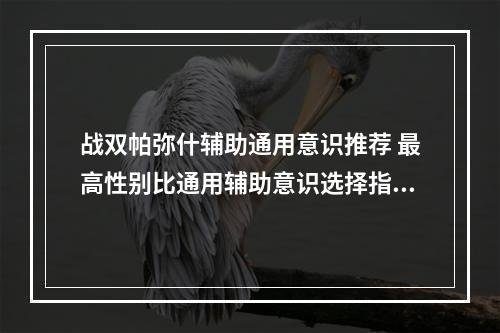 战双帕弥什辅助通用意识推荐 最高性别比通用辅助意识选择指南