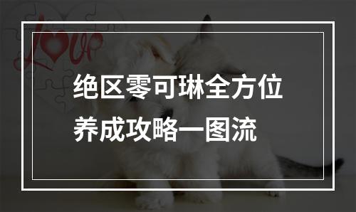 绝区零可琳全方位养成攻略一图流