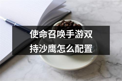 使命召唤手游双持沙鹰怎么配置