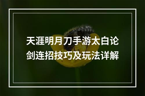 天涯明月刀手游太白论剑连招技巧及玩法详解