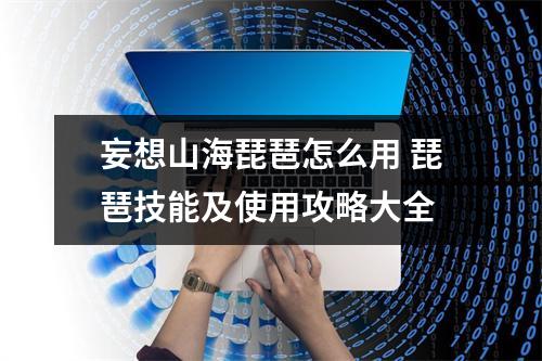 妄想山海琵琶怎么用 琵琶技能及使用攻略大全