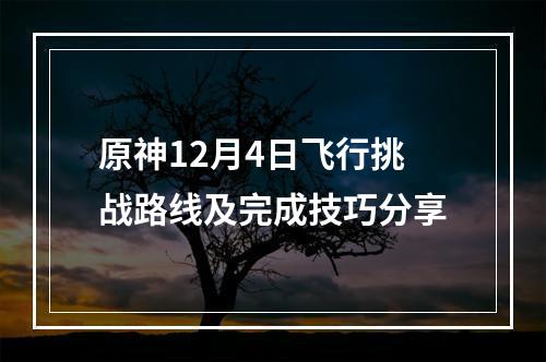 原神12月4日飞行挑战路线及完成技巧分享