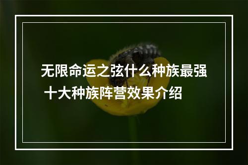 无限命运之弦什么种族最强 十大种族阵营效果介绍