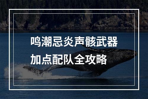 鸣潮忌炎声骸武器加点配队全攻略