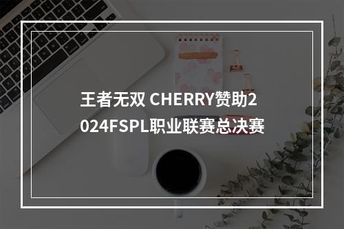 王者无双 CHERRY赞助2024FSPL职业联赛总决赛