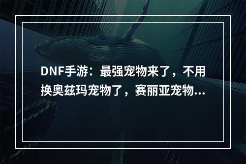 DNF手游：最强宠物来了，不用换奥兹玛宠物了，赛丽亚宠物多8%伤害