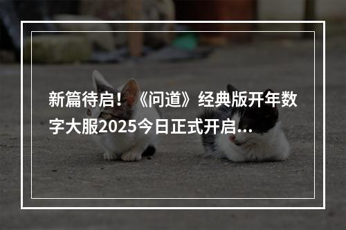 新篇待启！《问道》经典版开年数字大服2025今日正式开启抢注！