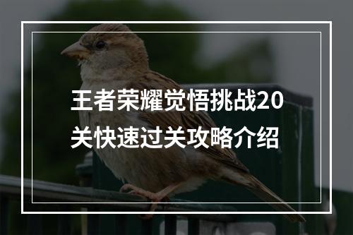 王者荣耀觉悟挑战20关快速过关攻略介绍