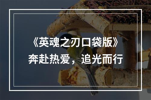 《英魂之刃口袋版》奔赴热爱，追光而行