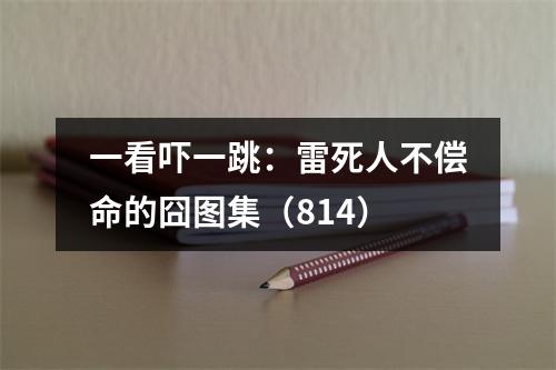 一看吓一跳：雷死人不偿命的囧图集（814）