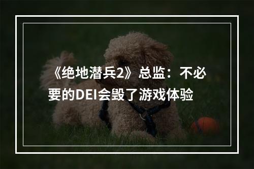 《绝地潜兵2》总监：不必要的DEI会毁了游戏体验