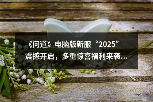 《问道》电脑版新服“2025”震撼开启，多重惊喜福利来袭！