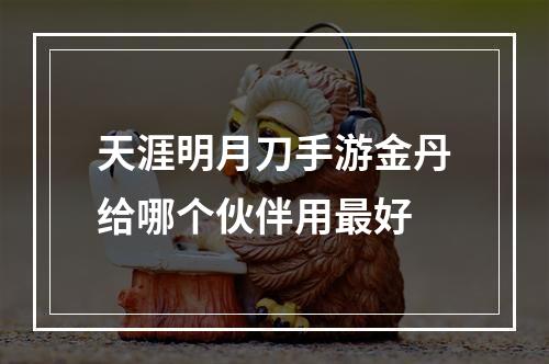 天涯明月刀手游金丹给哪个伙伴用最好