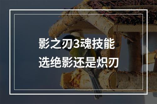 影之刃3魂技能选绝影还是炽刃