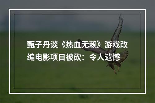 甄子丹谈《热血无赖》游戏改编电影项目被砍：令人遗憾