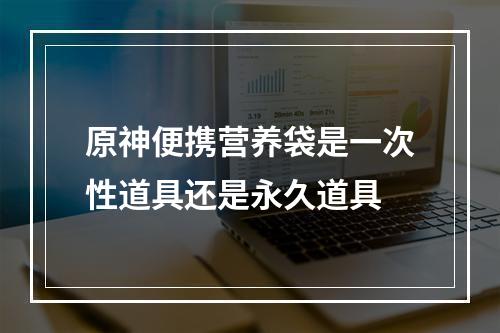 原神便携营养袋是一次性道具还是永久道具