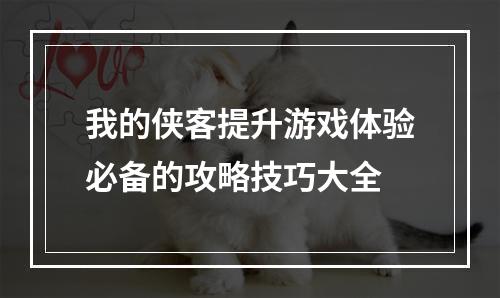 我的侠客提升游戏体验必备的攻略技巧大全