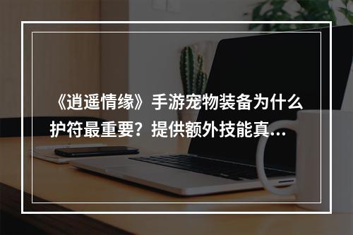 《逍遥情缘》手游宠物装备为什么护符最重要？提供额外技能真的香！