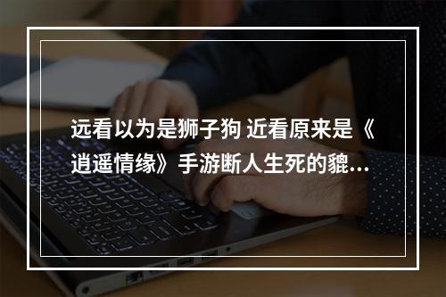 远看以为是狮子狗 近看原来是《逍遥情缘》手游断人生死的貔貅！