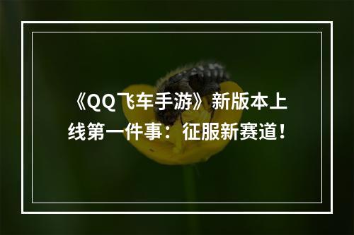 《QQ飞车手游》新版本上线第一件事：征服新赛道！