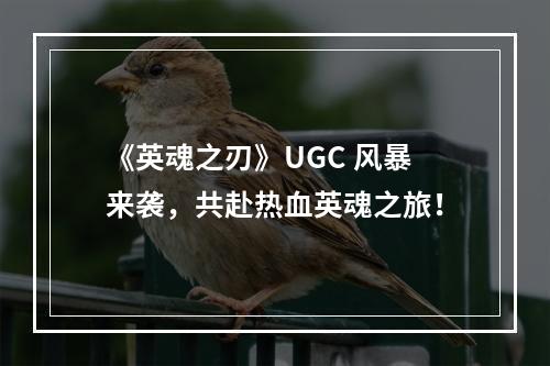 《英魂之刃》UGC 风暴来袭，共赴热血英魂之旅！