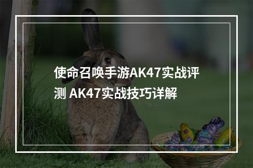 使命召唤手游AK47实战评测 AK47实战技巧详解