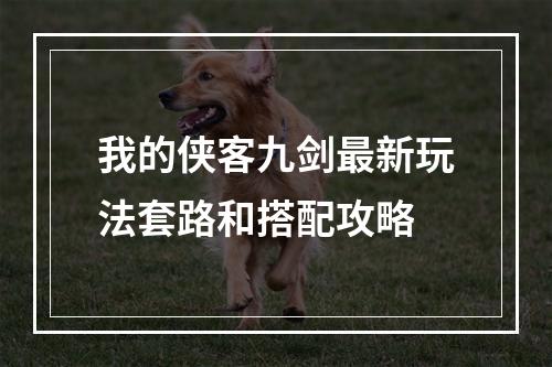 我的侠客九剑最新玩法套路和搭配攻略