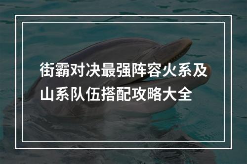 街霸对决最强阵容火系及山系队伍搭配攻略大全