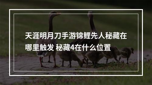 天涯明月刀手游锦鲤先人秘藏在哪里触发 秘藏4在什么位置