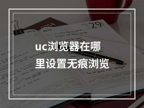 uc浏览器在哪里设置无痕浏览