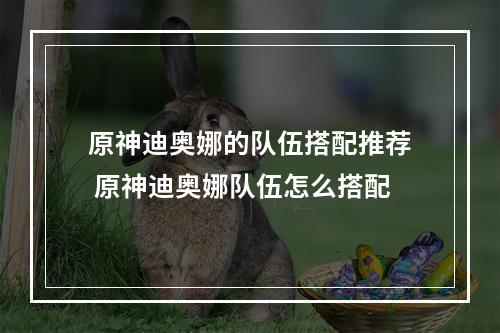 原神迪奥娜的队伍搭配推荐 原神迪奥娜队伍怎么搭配