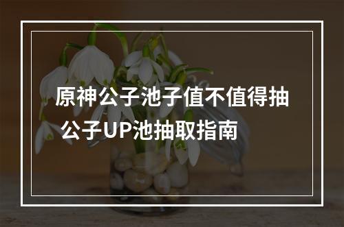 原神公子池子值不值得抽 公子UP池抽取指南