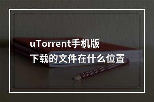 uTorrent手机版下载的文件在什么位置