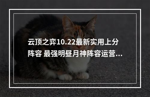 云顶之弈10.22最新实用上分阵容 最强明昼月神阵容运营攻略教学