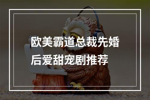 欧美霸道总裁先婚后爱甜宠剧推荐