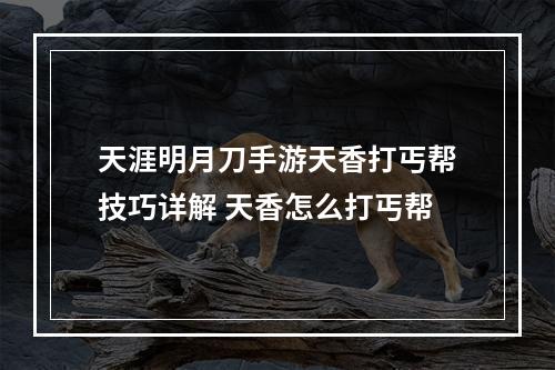 天涯明月刀手游天香打丐帮技巧详解 天香怎么打丐帮