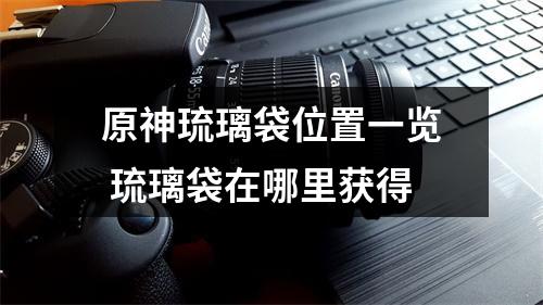 原神琉璃袋位置一览 琉璃袋在哪里获得