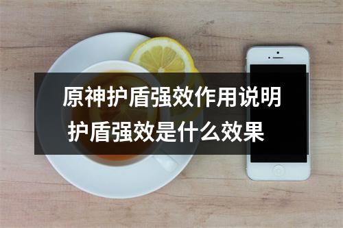 原神护盾强效作用说明 护盾强效是什么效果