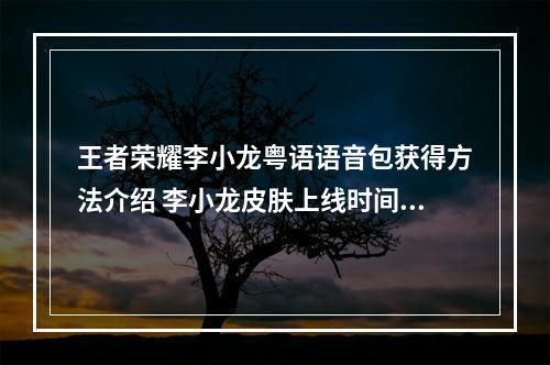 王者荣耀李小龙粤语语音包获得方法介绍 李小龙皮肤上线时间说明