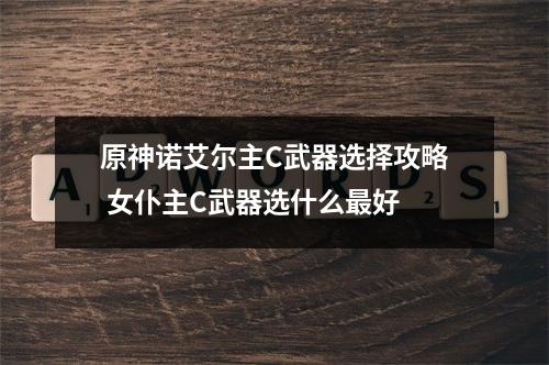 原神诺艾尔主C武器选择攻略 女仆主C武器选什么最好