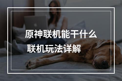 原神联机能干什么 联机玩法详解