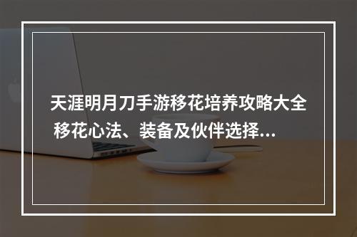 天涯明月刀手游移花培养攻略大全 移花心法、装备及伙伴选择推荐