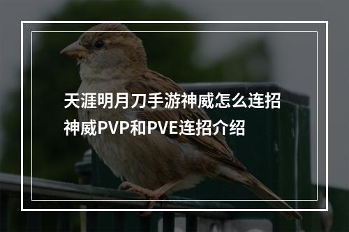 天涯明月刀手游神威怎么连招 神威PVP和PVE连招介绍