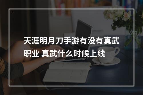 天涯明月刀手游有没有真武职业 真武什么时候上线